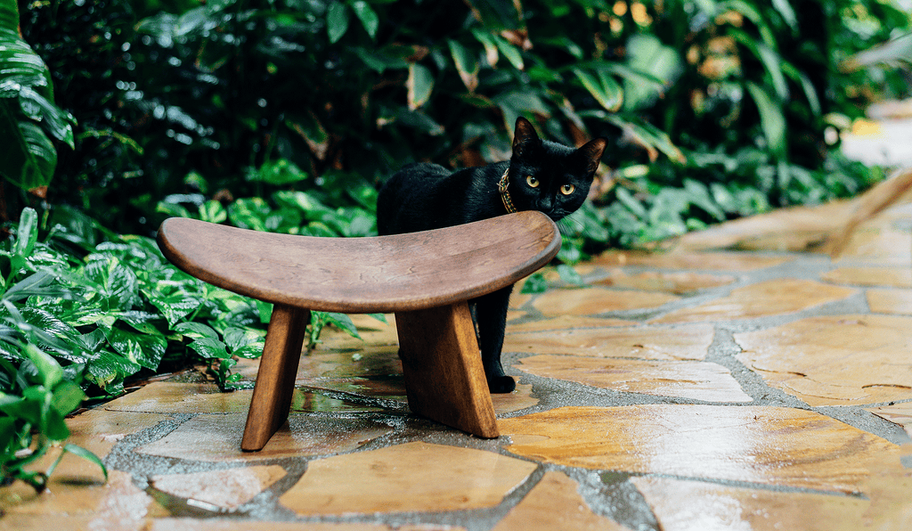 Bluecony IKUKO Original wood kneeling meditation bench